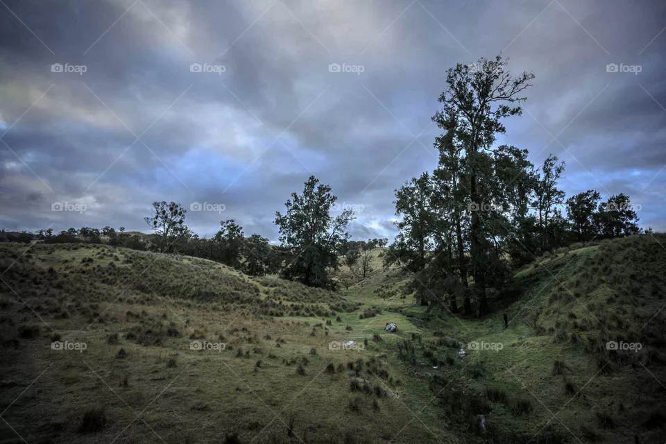 Landscape, Tree, No Person, Nature, Sky