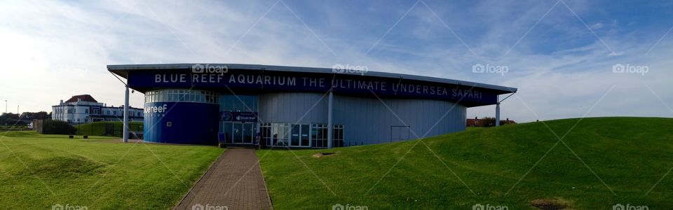 Blue Reef Aquarium Tynemouth 