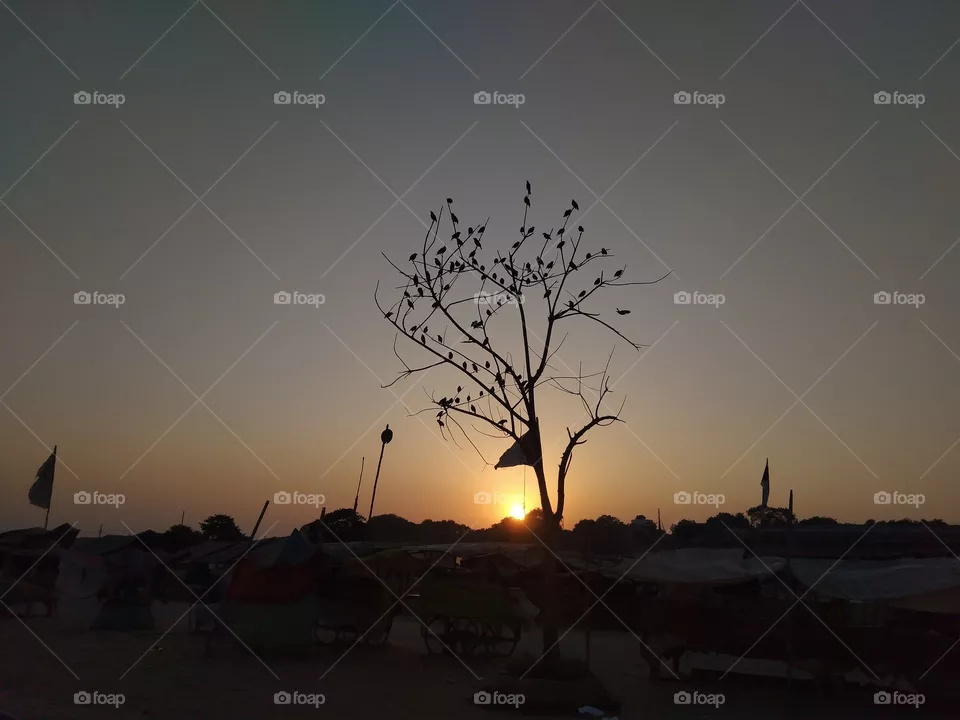 evening view