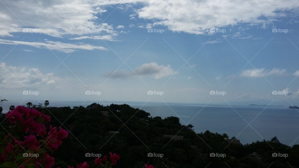 Landscape, No Person, Sky, Tree, Water