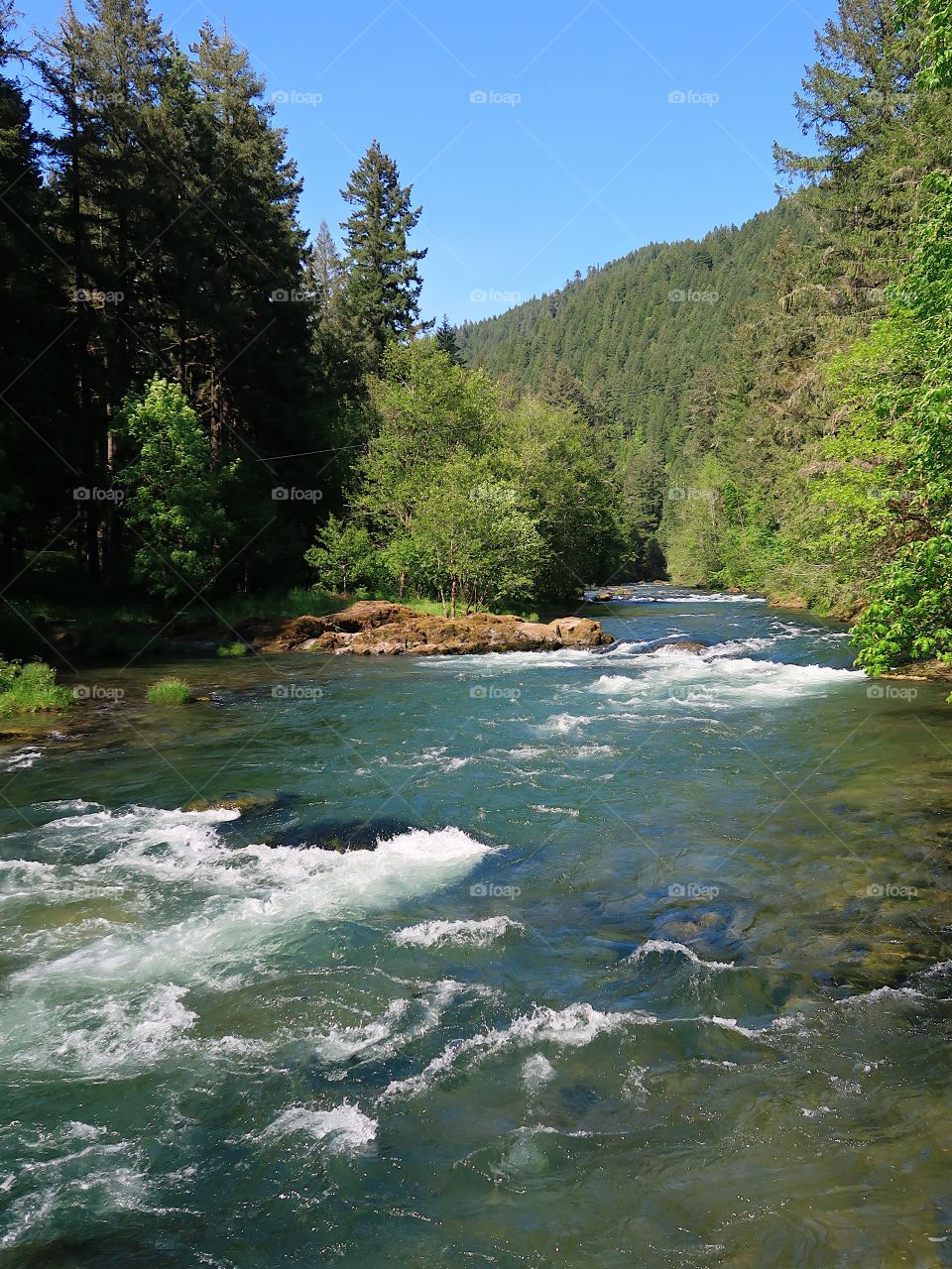 The incredible turquoise waters of the Blue River in the Willamette National Forest on a sunny spring day. 