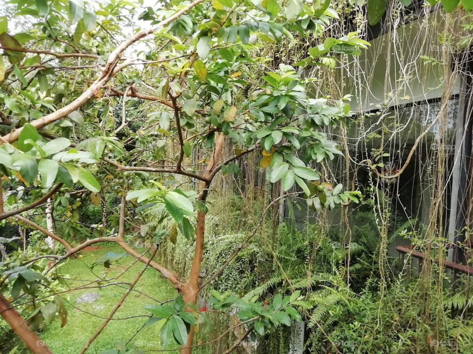 Awsome Place in woods