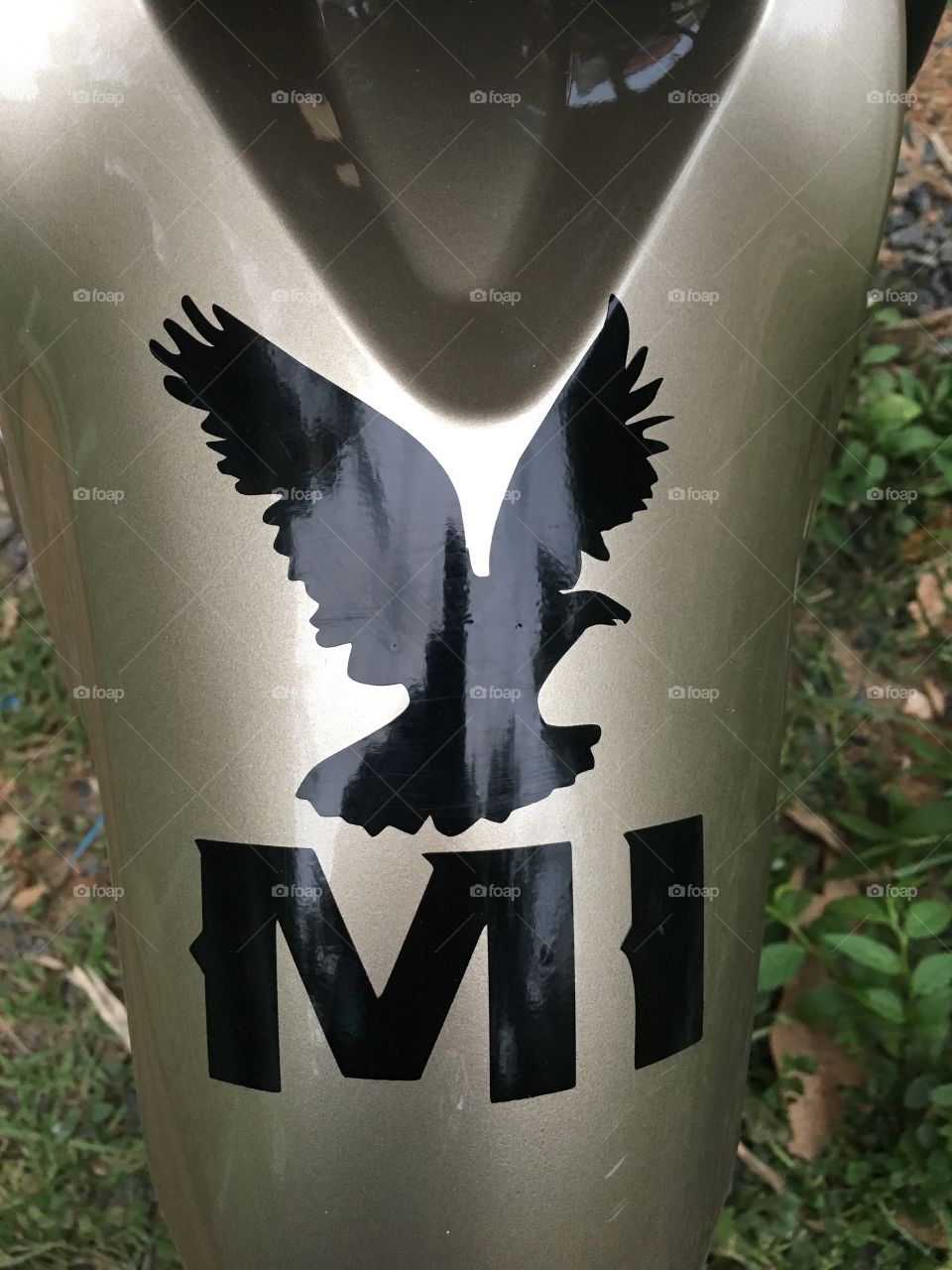 Eagle 🦅 sticker 