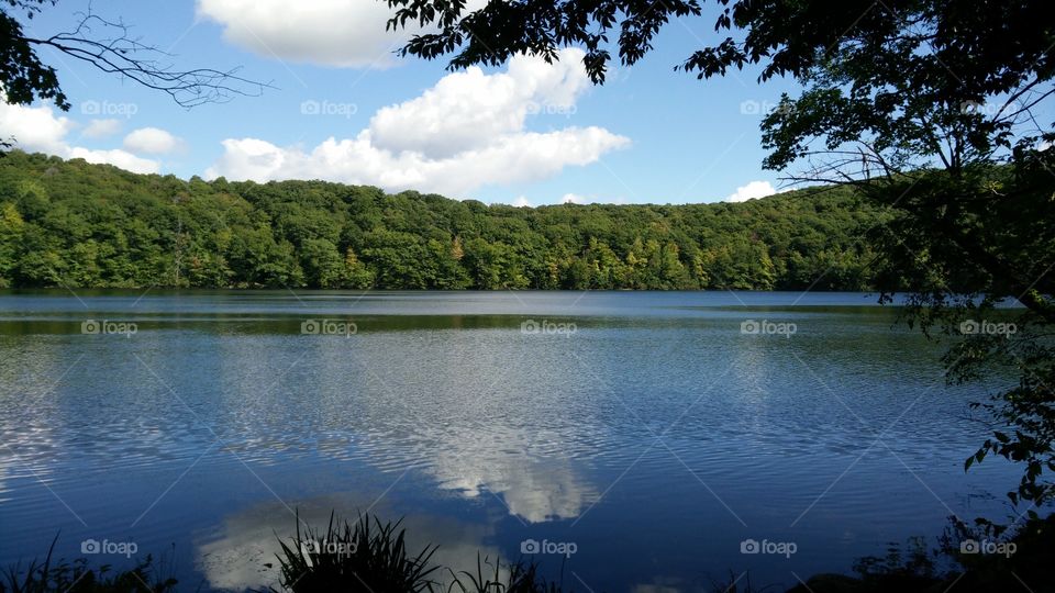 Beautiful lake on a nice walk