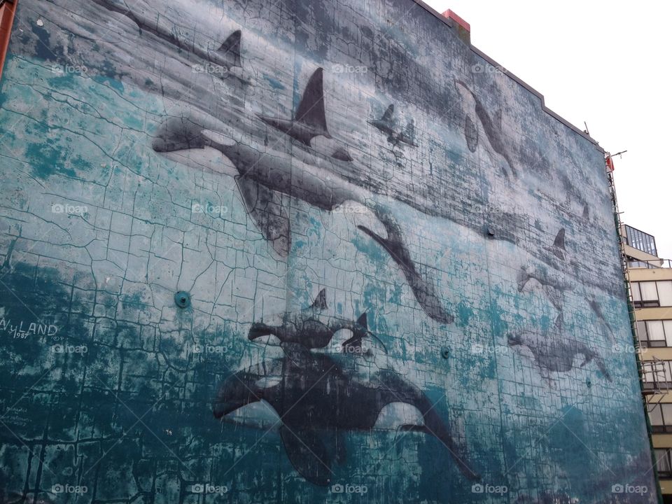 Orca mural