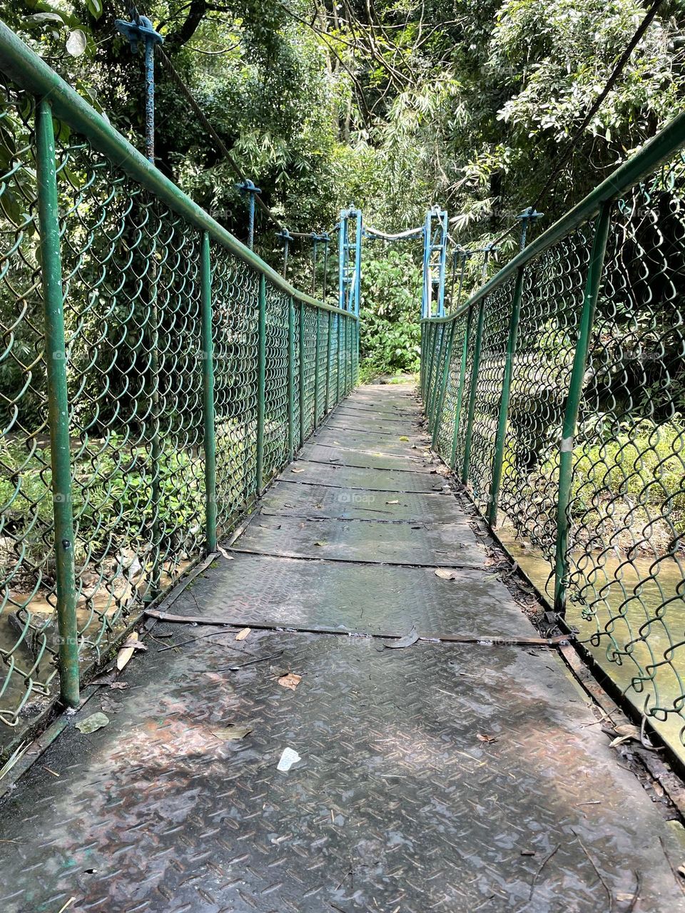 Pathway Leads to somewhere something is hiding 