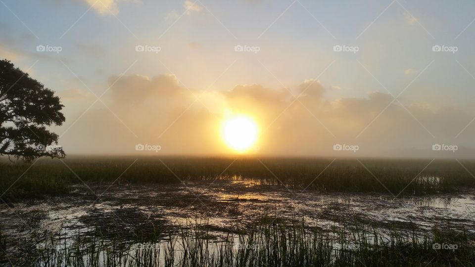 Marshy land fog at sunrise