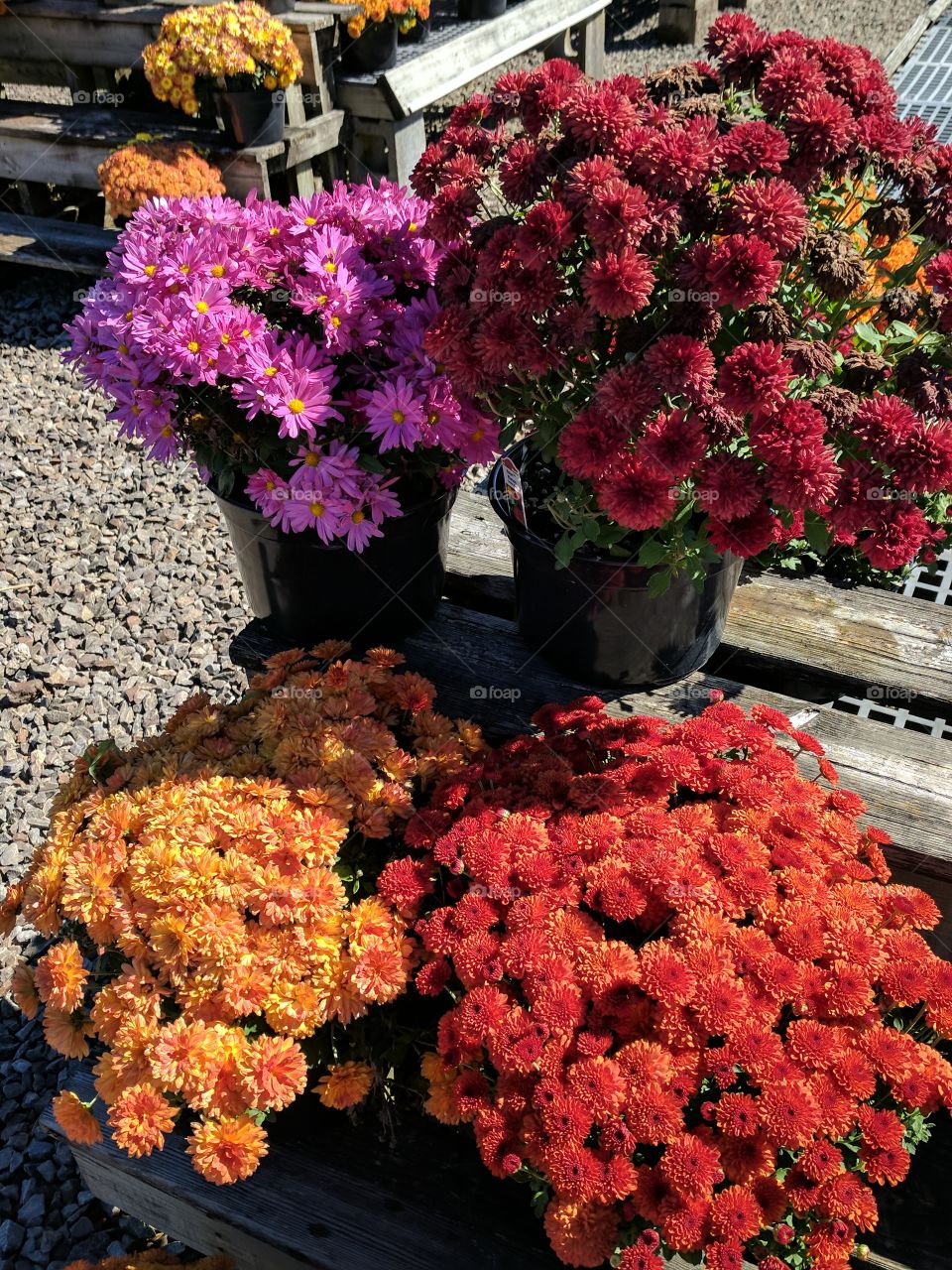 Bright Mums