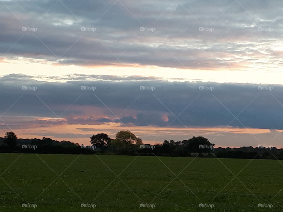 Landscape, Sky, Tree, Grass, Dawn