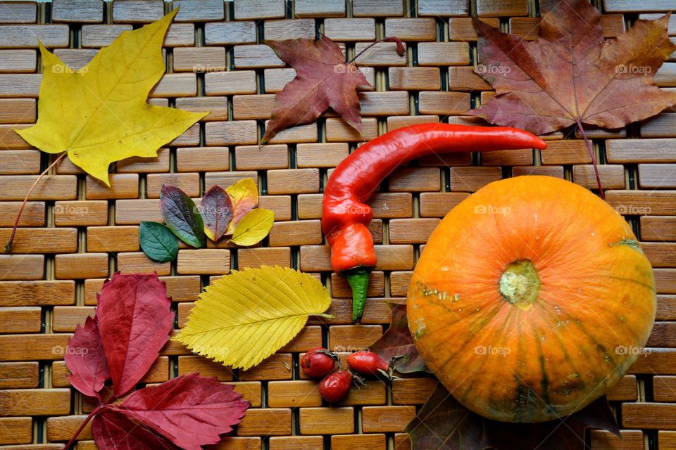 autumn vegetables and leaves, shapes rectangle