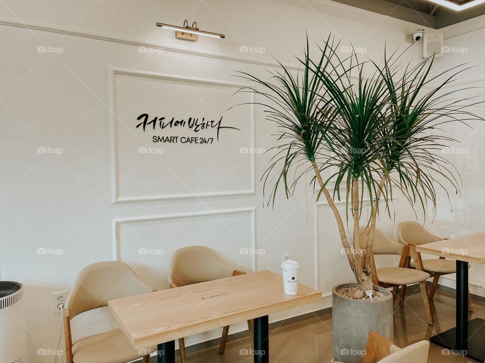 For Coffee Lovers 🤍