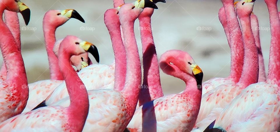 you are what you eat