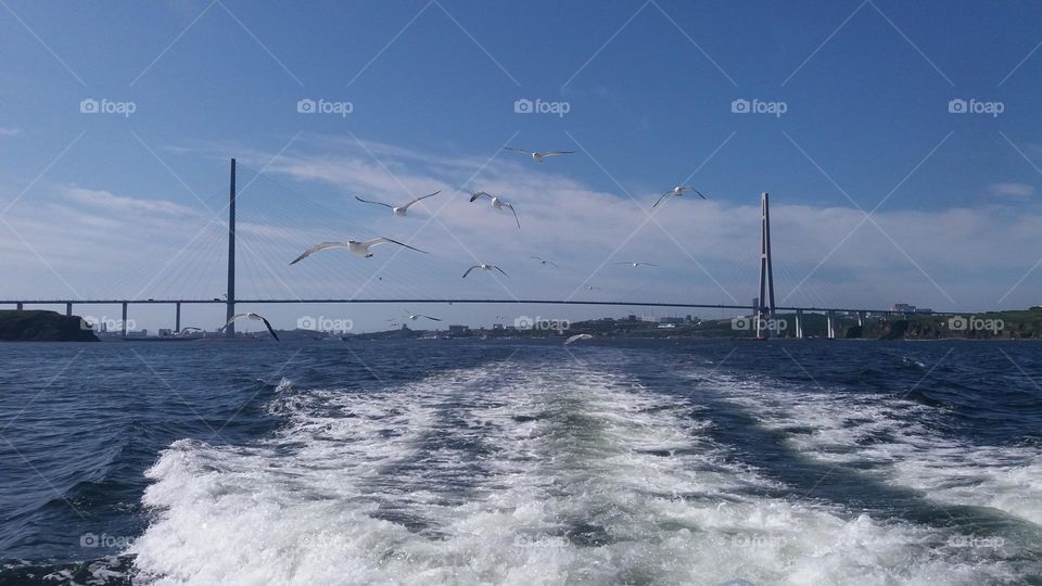 a view on the bridge in my hometown