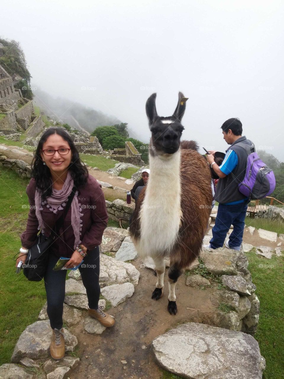 Berenice con la llama en Macchu Picchu