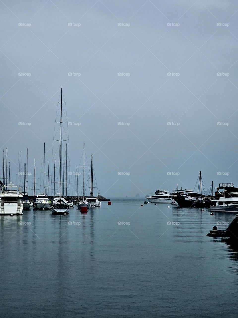 Yachts parked at the Victoria Harbour next to the typhoon shelter