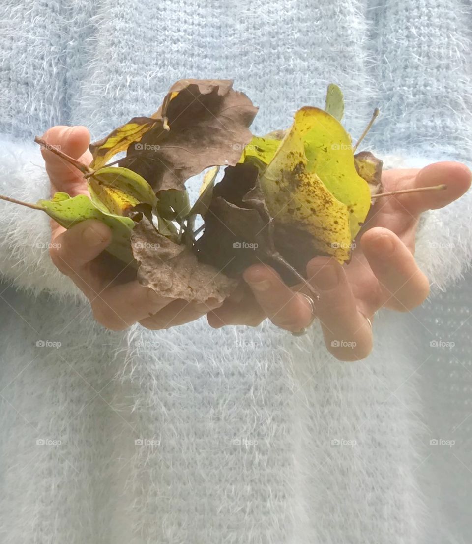 Gathering handfuls of leaves 🍁