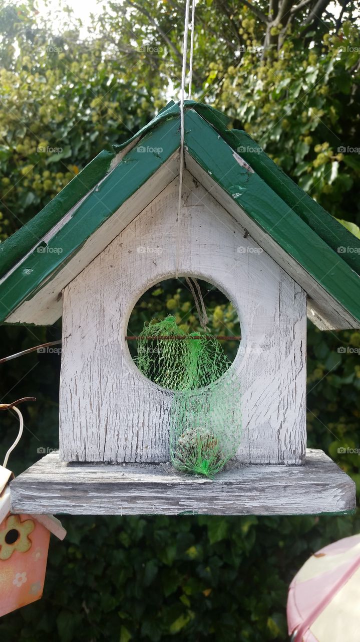 bird house. garden