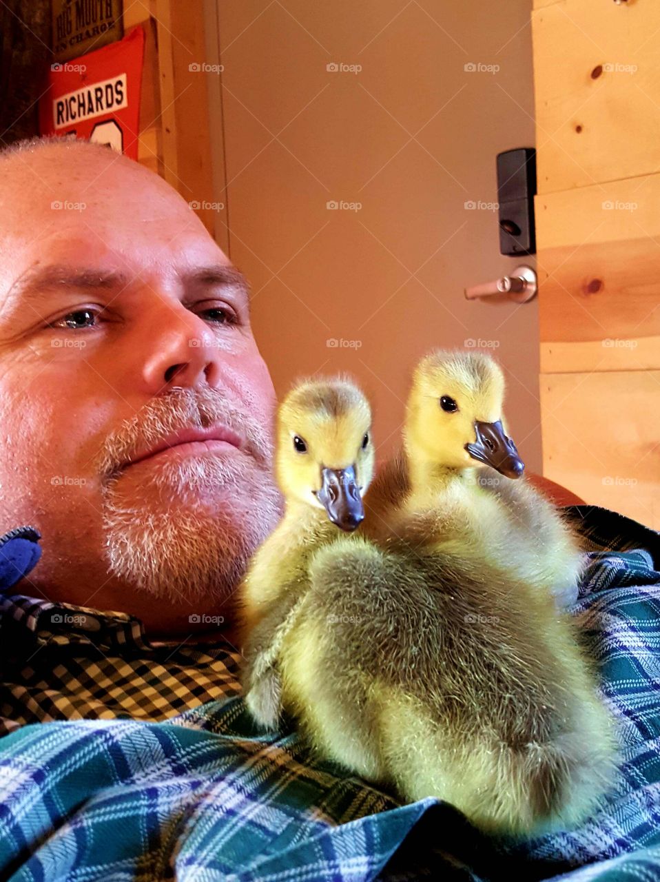 Close-up of a man with two ducklings