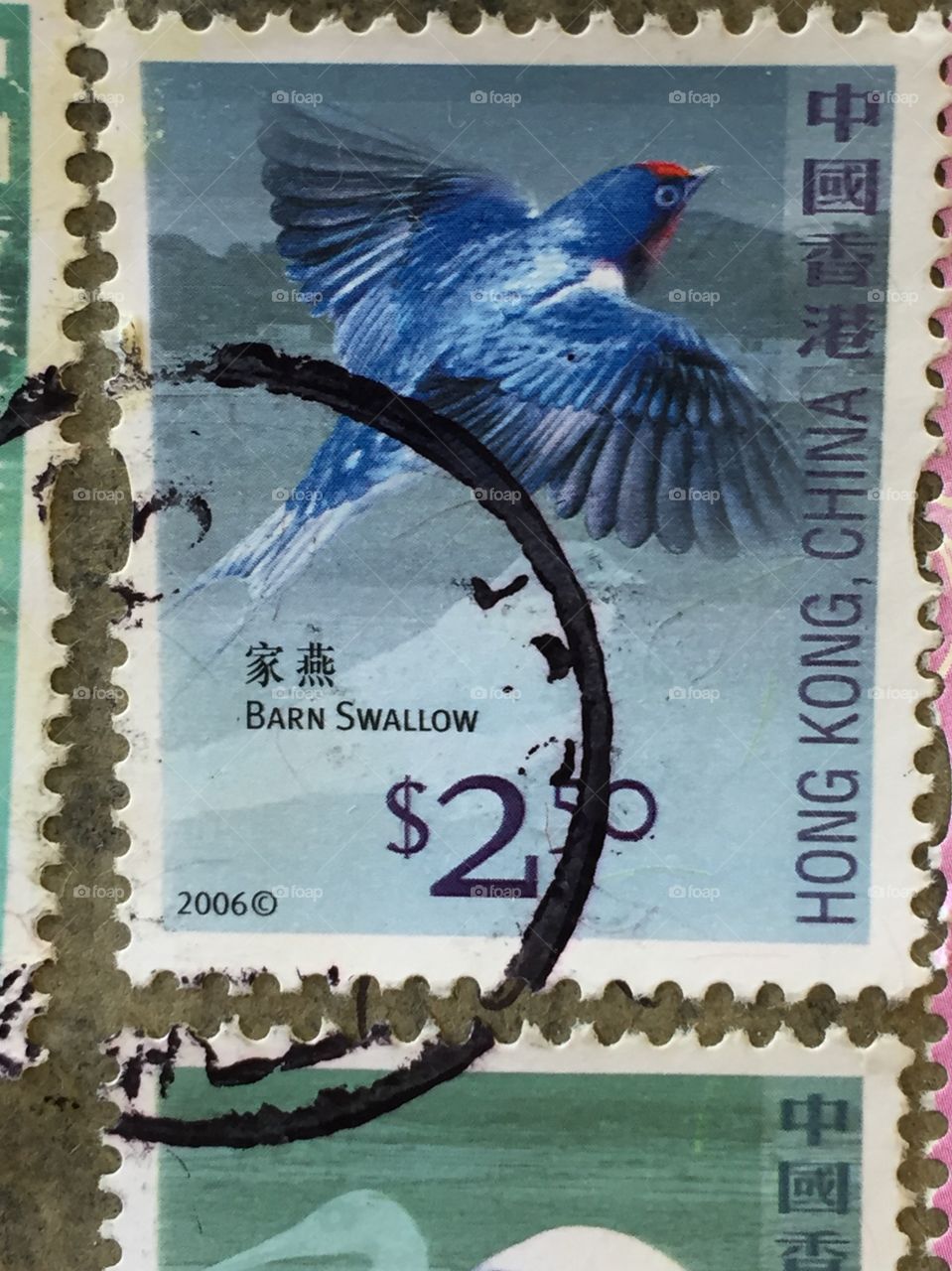 Hong Kong stamp of a blue barn swallow 2006 $2.50