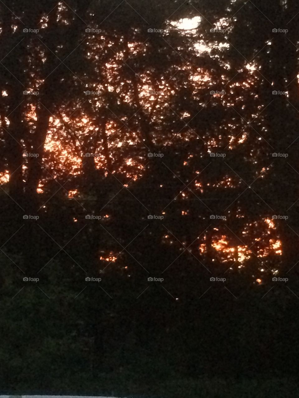 Sunset behind the trees!