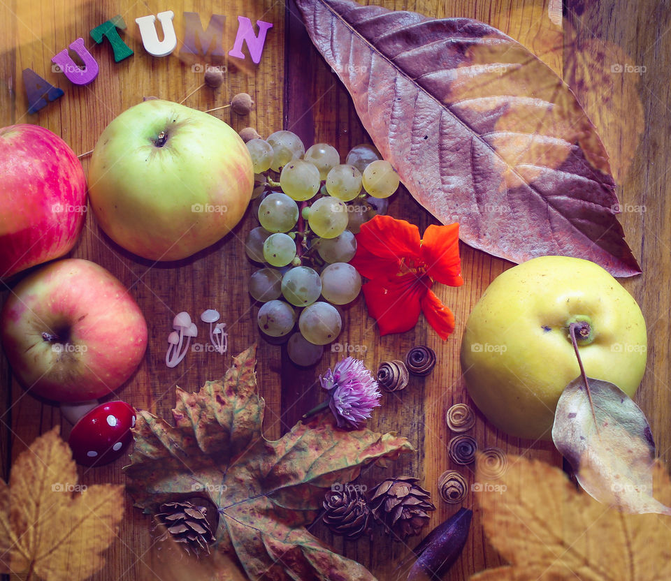 Autumnal themed flat lay, with leafy overlay, featuring leaves, mushrooms, cones and fruits