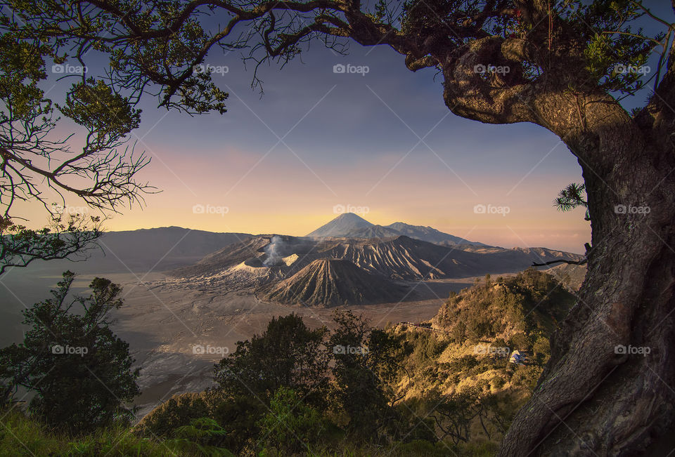 bromo in frame