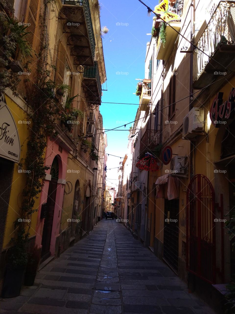 Battle: Countryside vs City