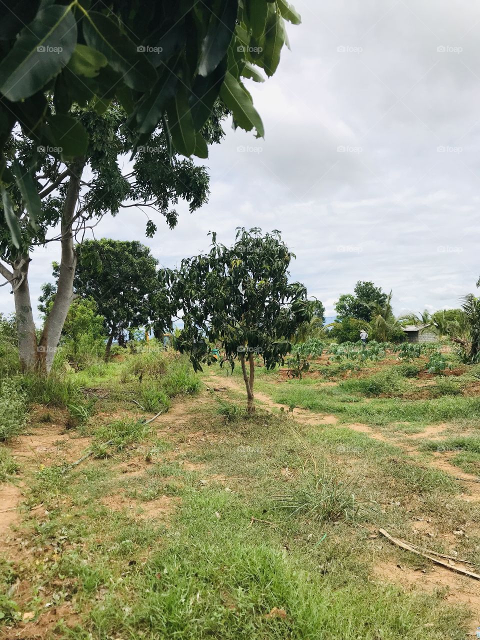 Project Sooriyawewa 5