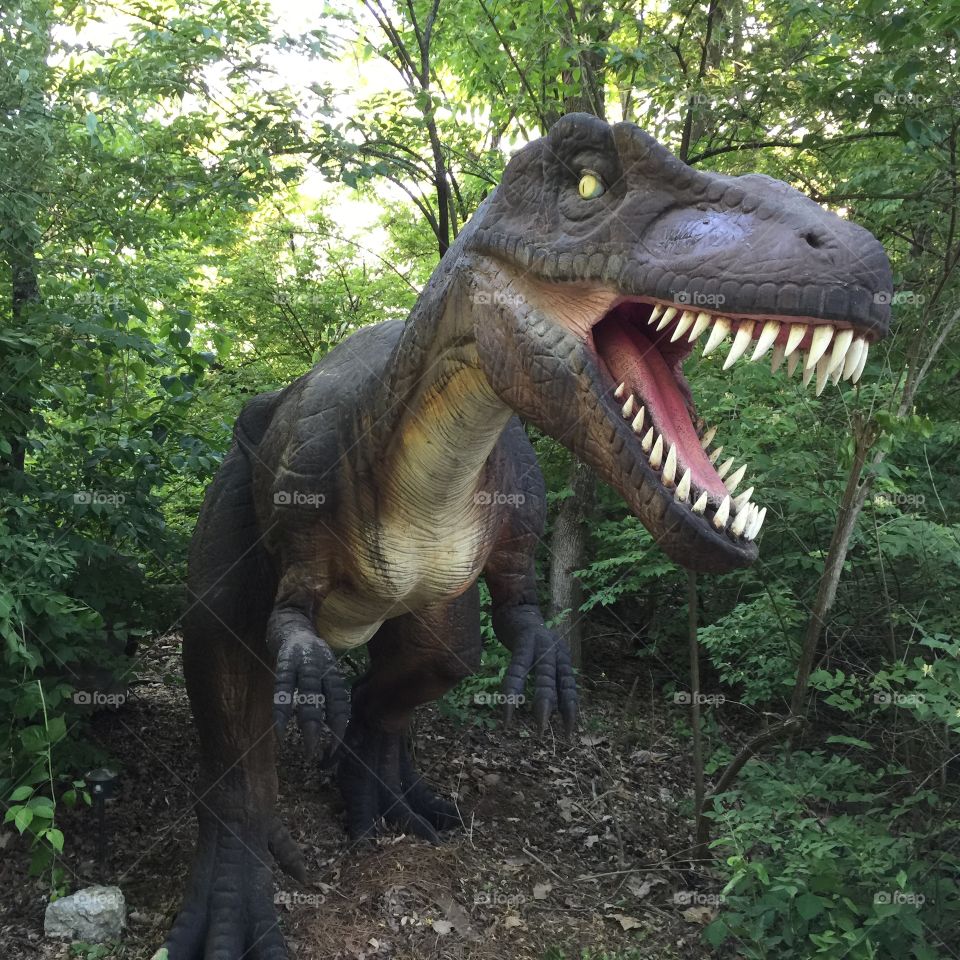 King's Island, Ohio, yangchuansoaurus dinosaur statue