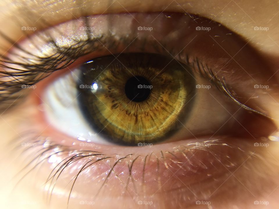 Close-Up Macro of a Eye with a Hazel iris