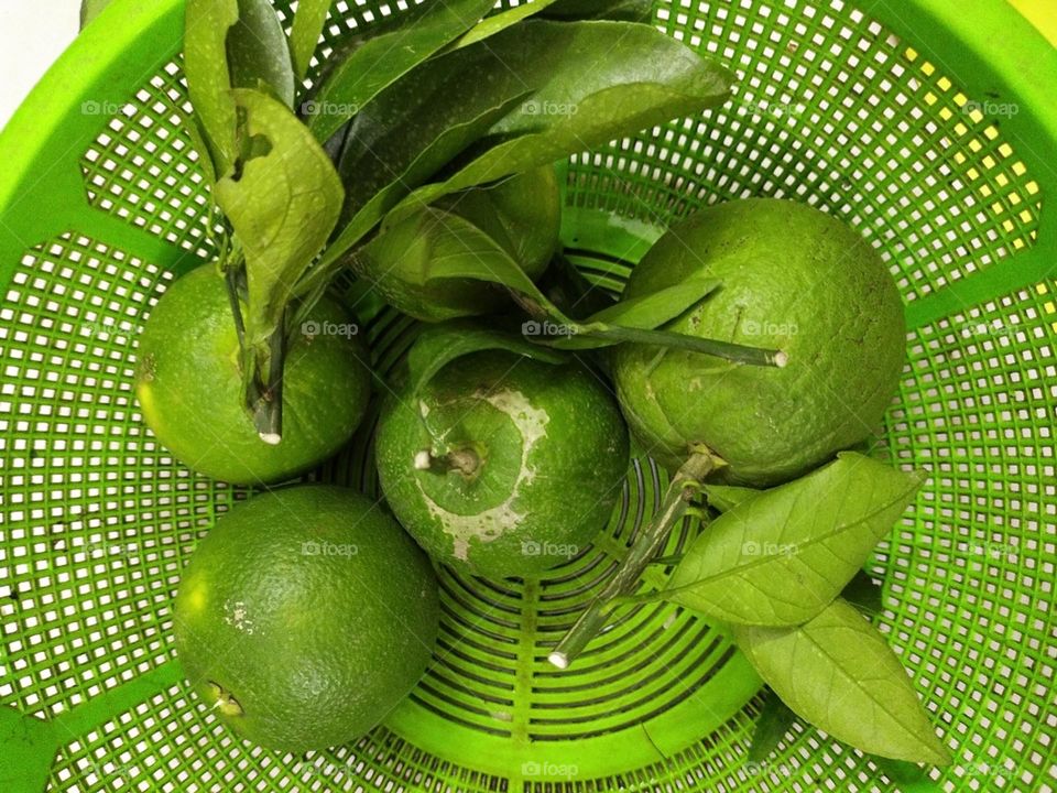 Green Malta fruit