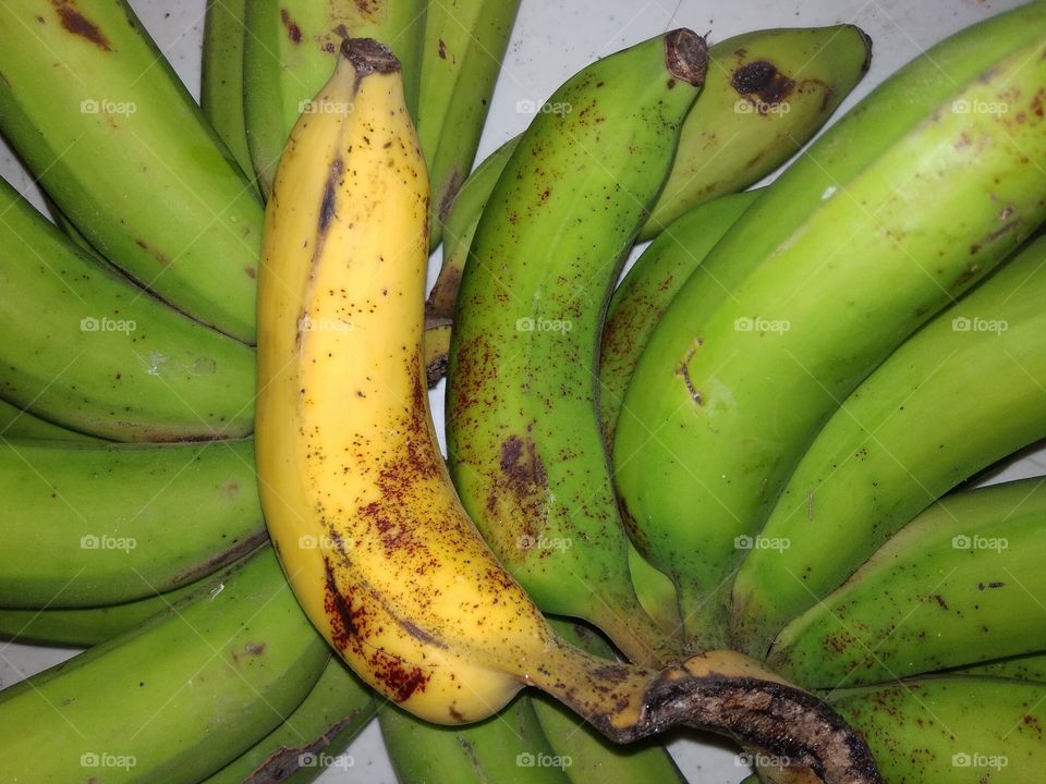 Early Banana. This banana ripened first. This picture shows uniqueness and being early. There's a right timing for everyone.