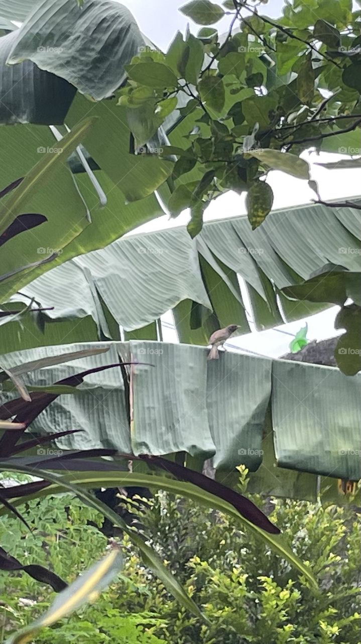 Birdy bird🙆🏻‍♀️