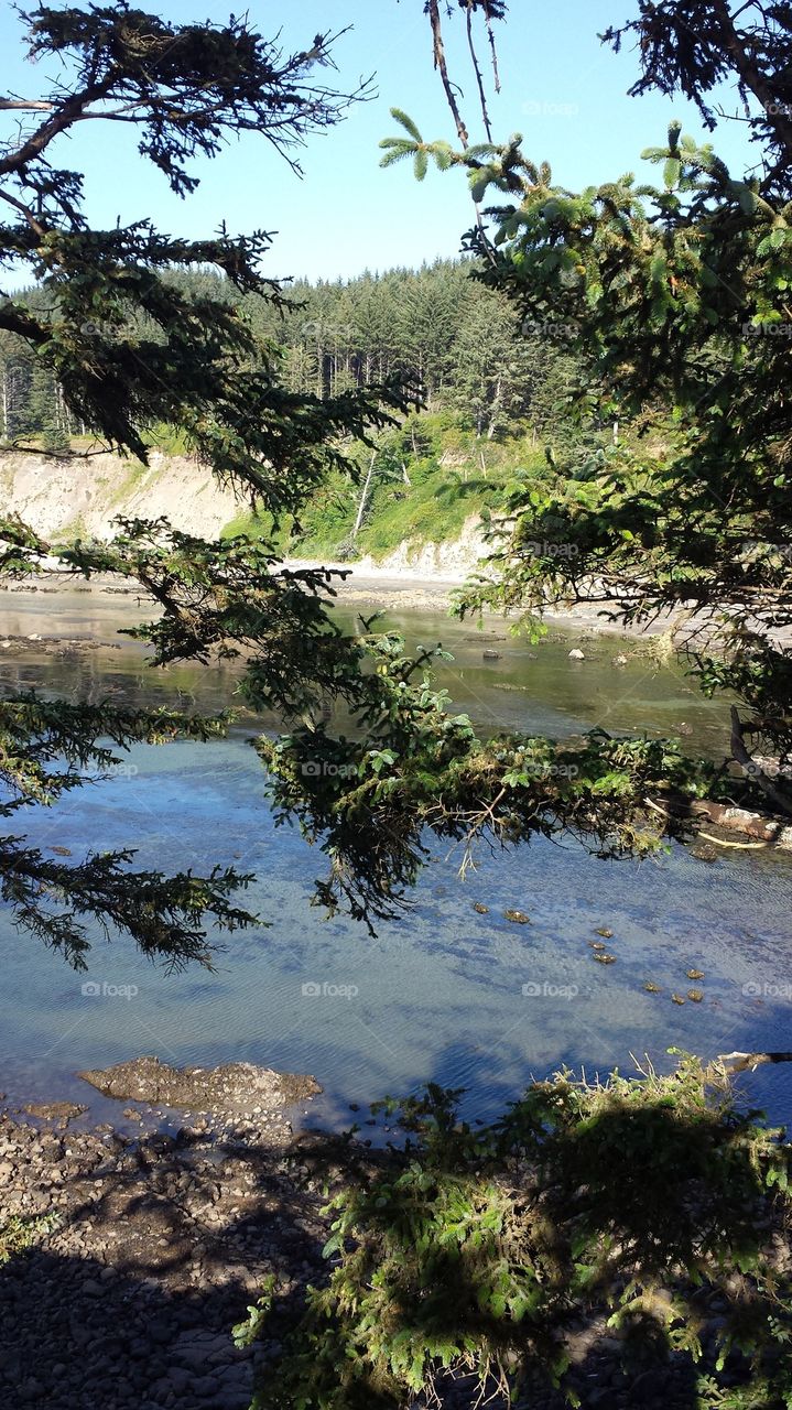 Cape Arago Beach Area