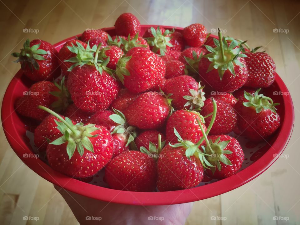 Bowlful of Strawberries 