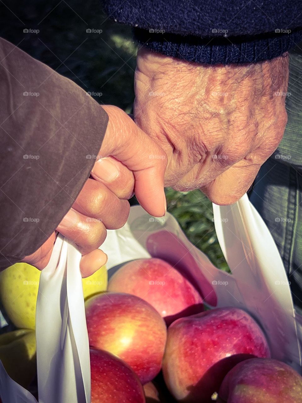 Two person carrying the apples