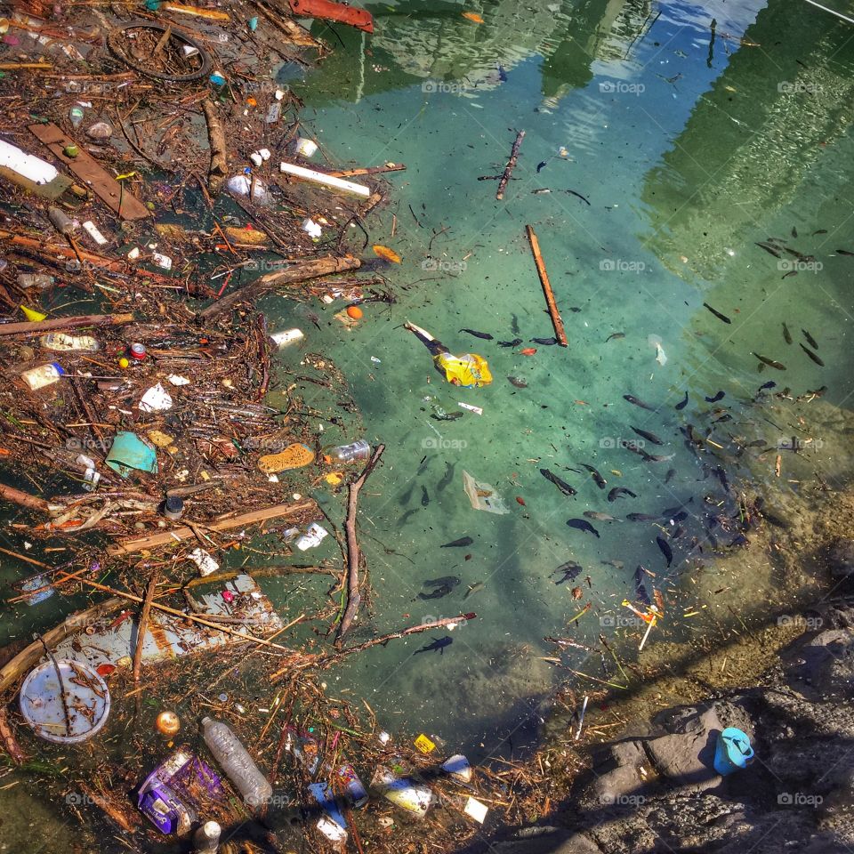 Water pollution at Waikiki boat basin