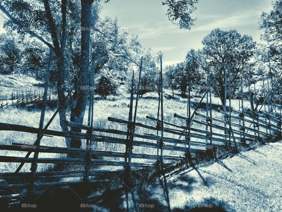 Old fence
