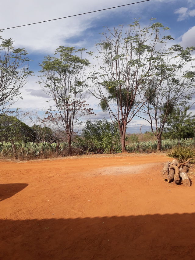 calor férias Bahia