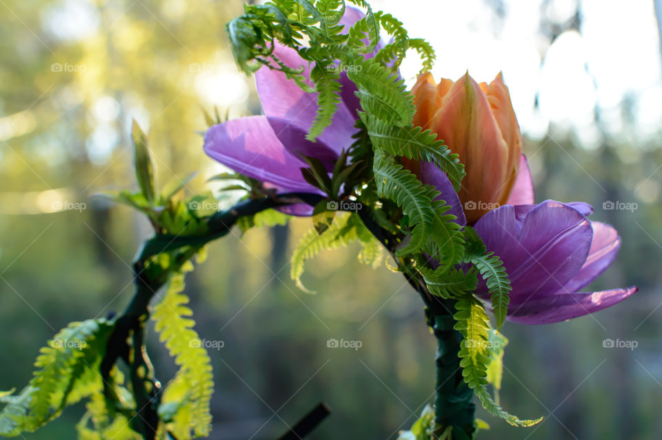 Beautiful elegant fairy queen stylish flower crown with orange and purple tulips, vibes and curly ferns conceptual flower design photography
