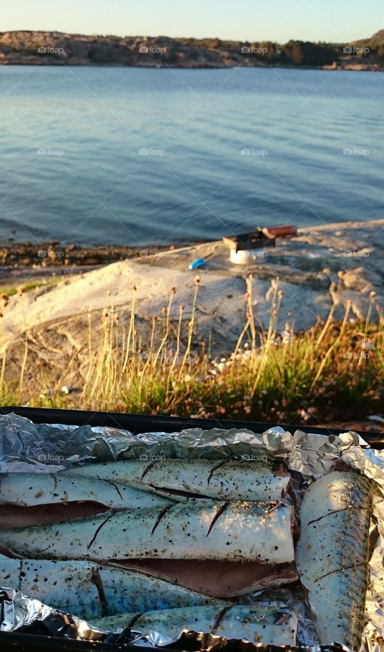 Preparation of seafood near sea