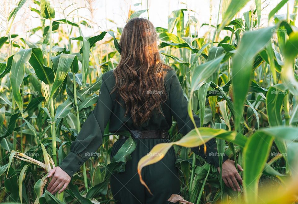 Young beautiful carefree long hair woman in black dress in sunset corn field. Sensitivity to nature concept