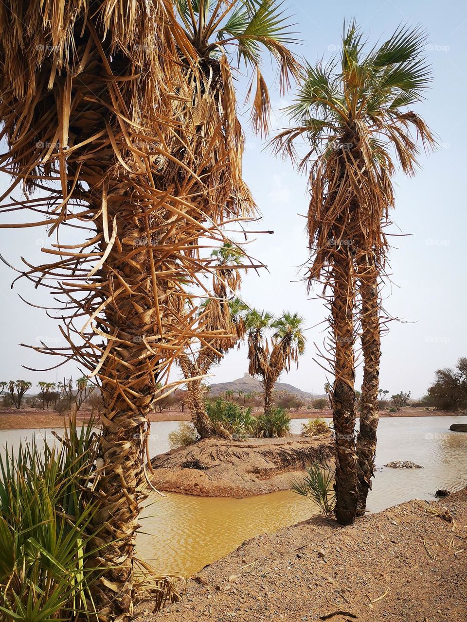 Rivers with beautiful nature and fishing from the river