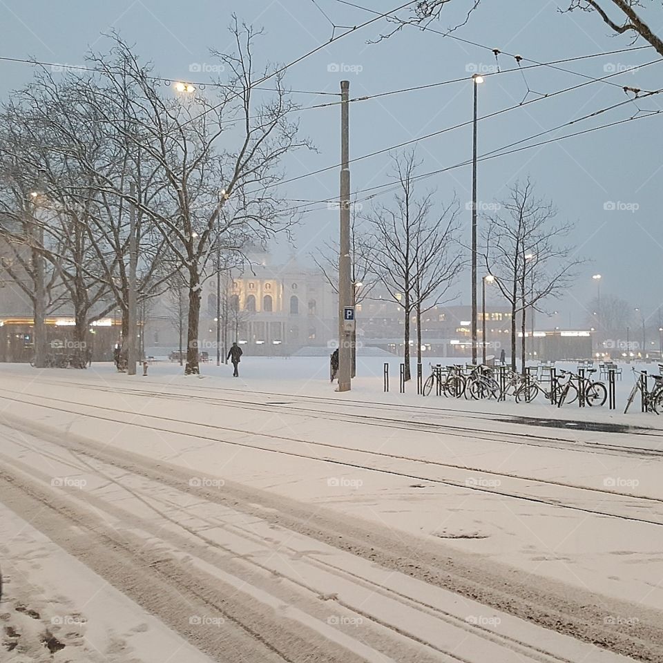 Snowing in Zurich