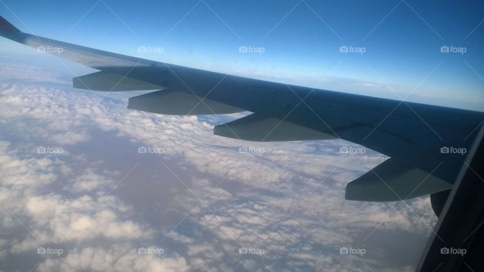 flying pleasure thru flight's window seat