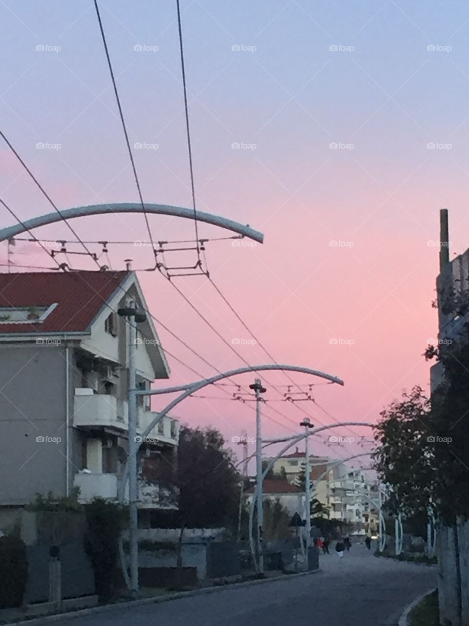 Walking in a park road