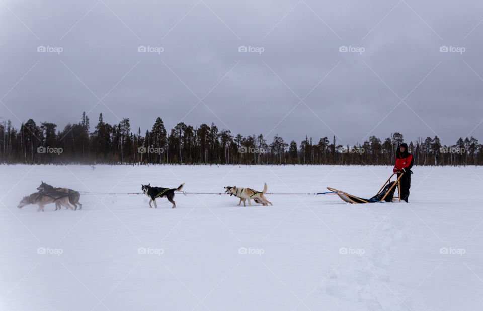 Winter Fun