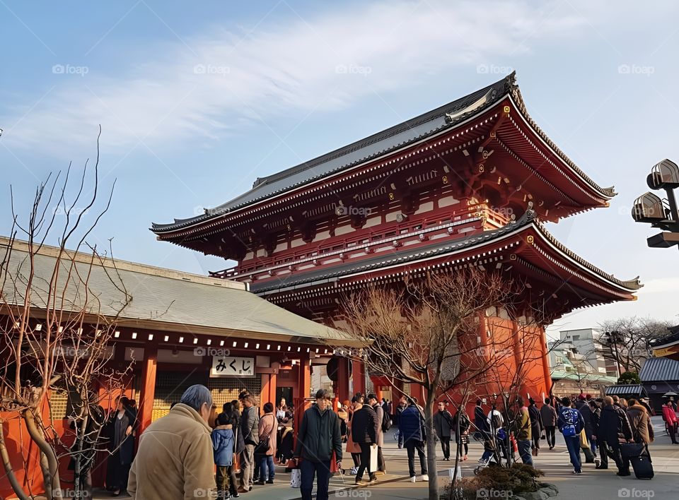 beautiful castle famous in japan