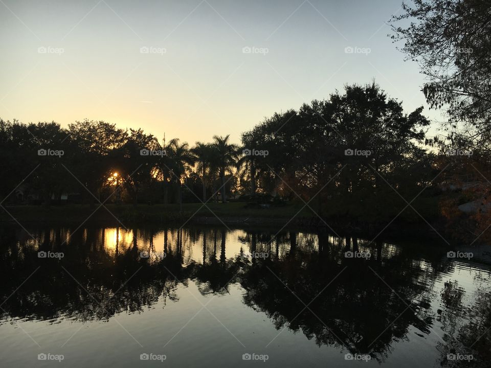 Beautiful reflections 