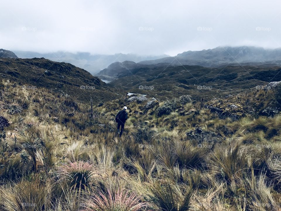 Running out through then endemic hills on a overcast day in Cajas National Park, Ecuador